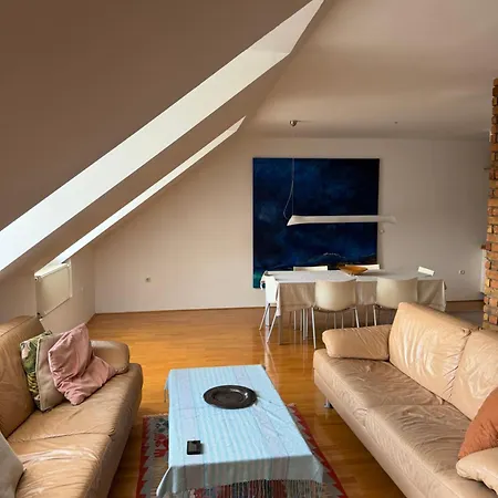 Ekoviki 公寓 克拉尼