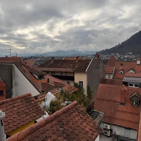 Ekoviki Kranj