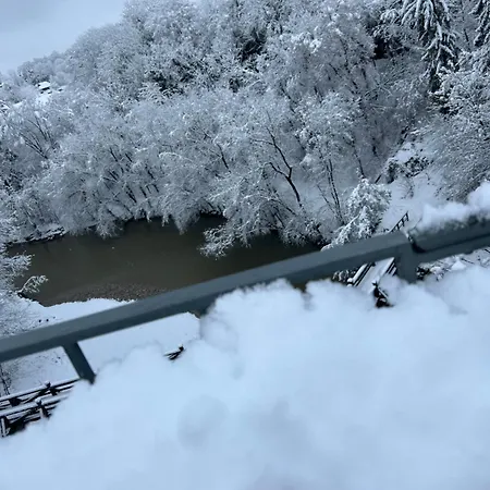 Ekoviki *