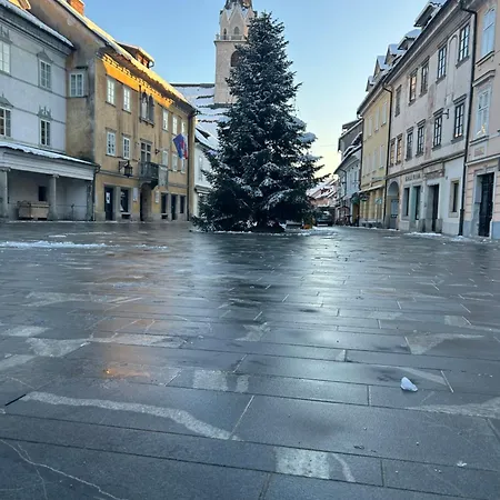 Ekoviki 公寓 克拉尼