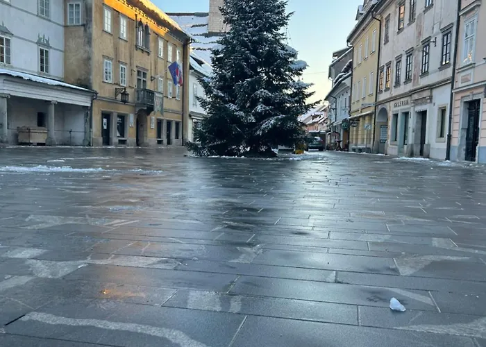 Ekoviki דירה קראנז'